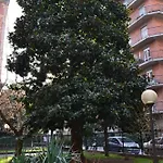 Mocenigo4 Апартаменты *